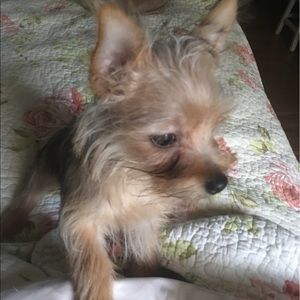 Meet your Posher, Debbie